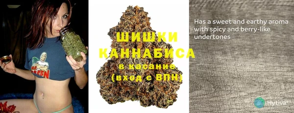 кокс Арсеньев
